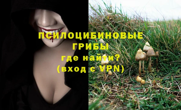 винт Алзамай
