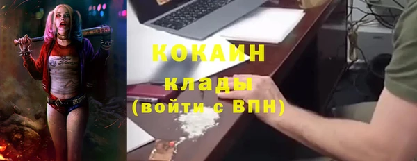 соль ск Алексин