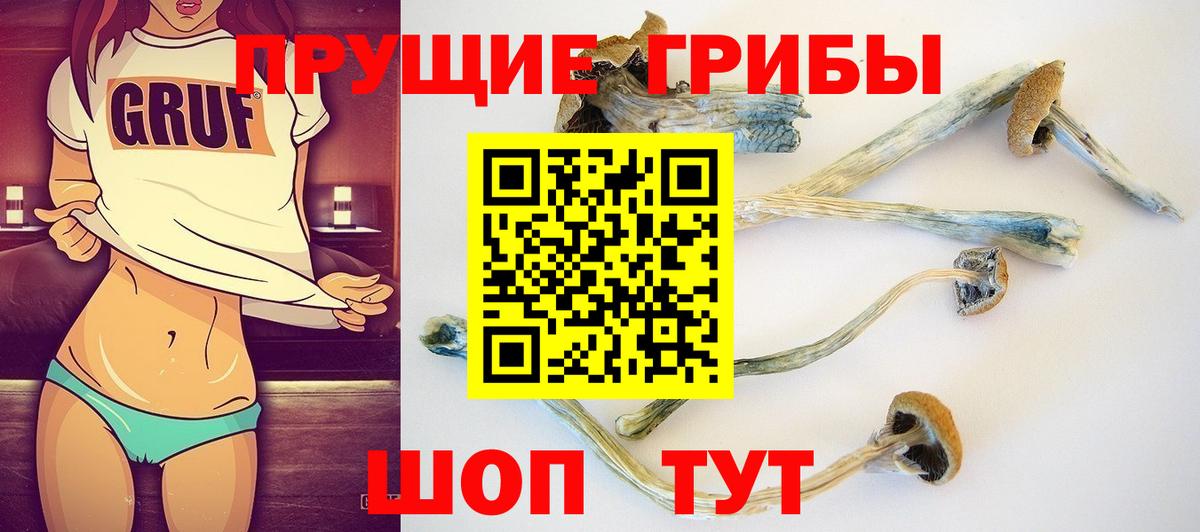 Галлюциногенные грибы GOLDEN TEACHER Белорецк